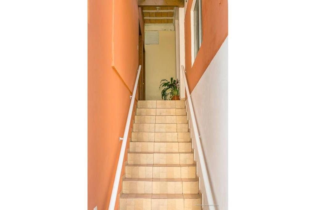 2 Sacadas Ultra Wifi Quase 5 Estrelas Com 40 Comentarios! ***** Holiday home *